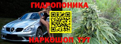 ГАЛЛЮЦИНОГЕННЫЕ ГРИБЫ Обь