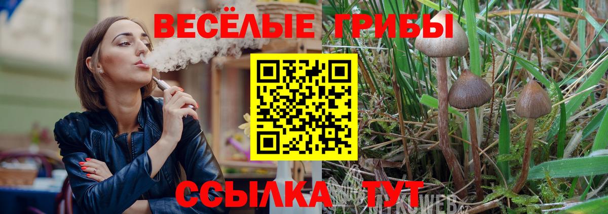 Галлюциногенные грибы Psilocybe  Вход с VPN  Сертолово 